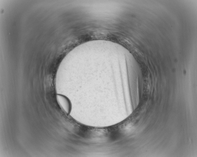 X0000088090711200706011604