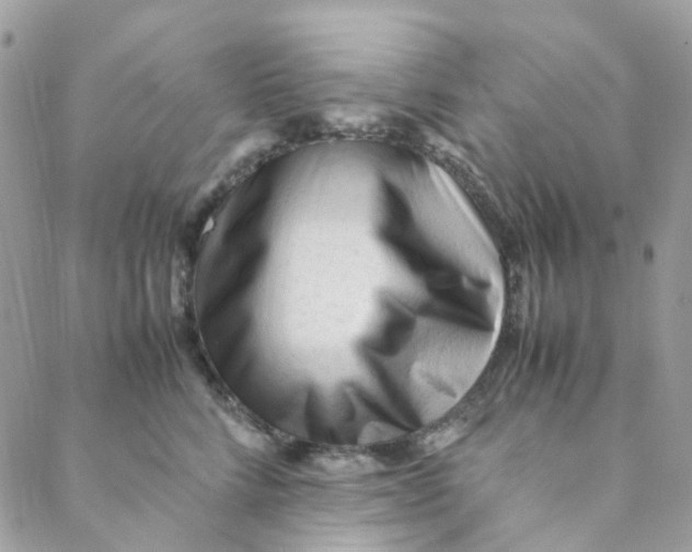 X0000088090712200706011604