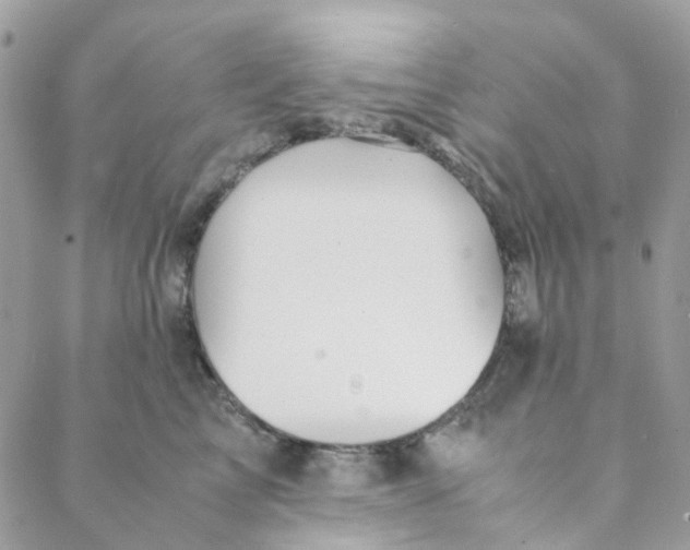 X0000088090713200706011604