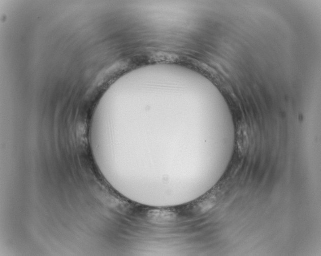 X0000088090714200706011604