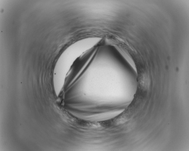 X0000088090715200706011604