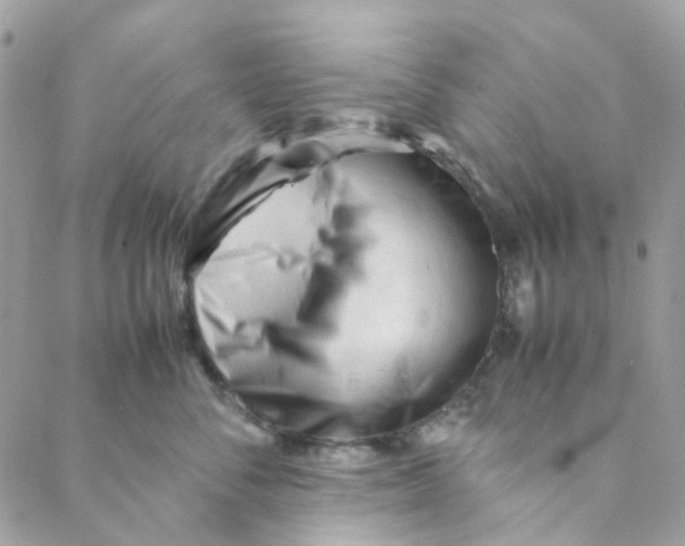 X0000088090716200706011604