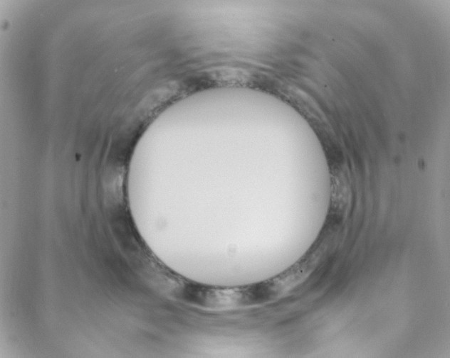 X0000088090717200706011604