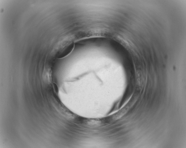 X0000088090718200706011604