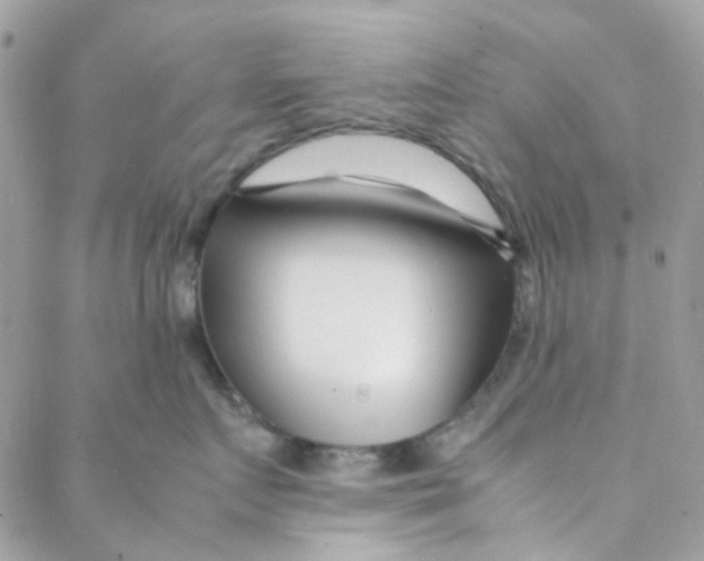 X0000088090719200706011604