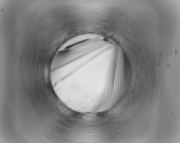 X0000088090720200706011604