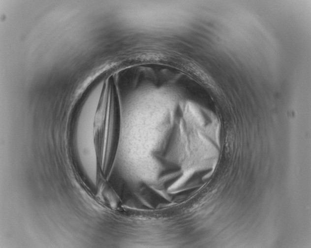 X0000088090722200706011603