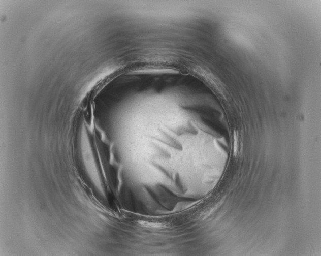 X0000088090723200706011603