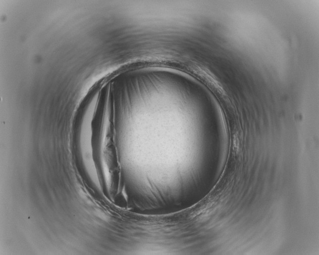 X0000088090724200706011603