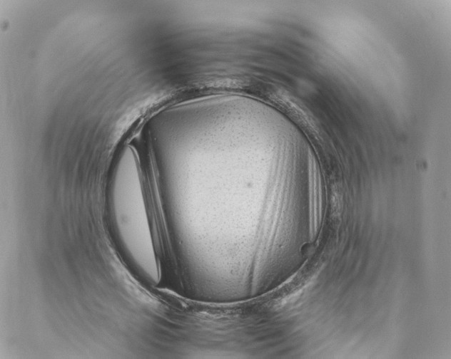 X0000088090725200706011603