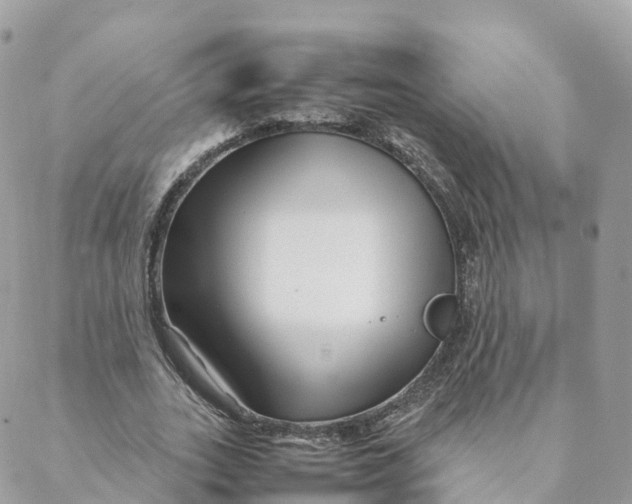 X0000088090727200706011603