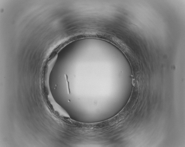 X0000088090728200706011603