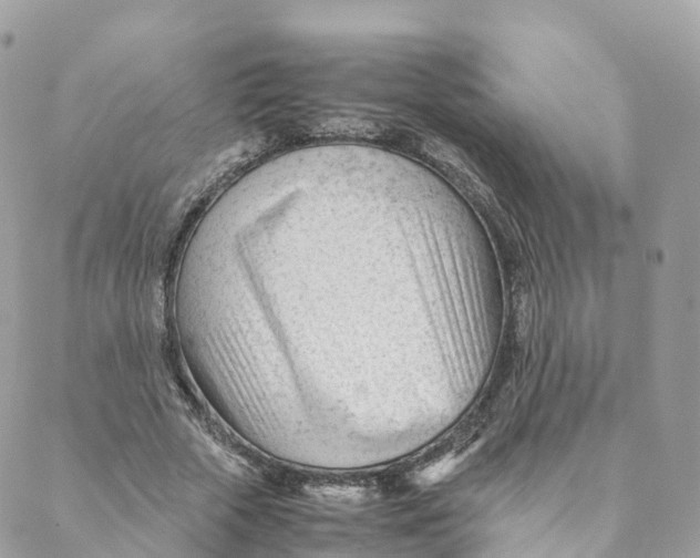 X0000088090729200706011603