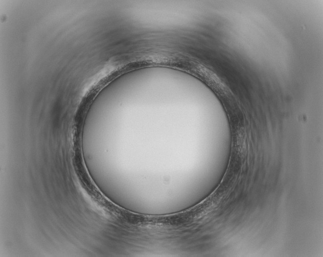 X0000088090730200706011603