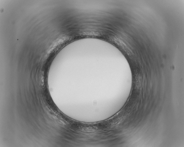 X0000088090731200706011603