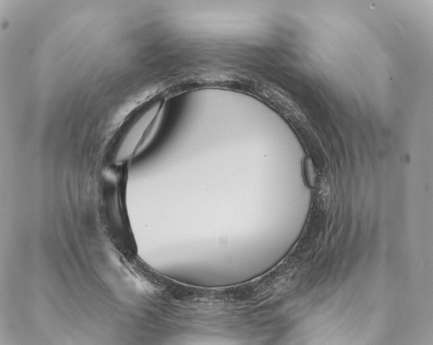 X0000088090732200706011603