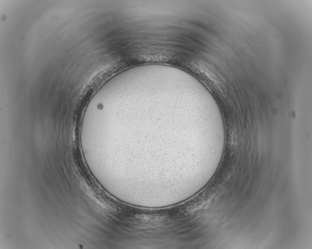 X0000088090733200706011603