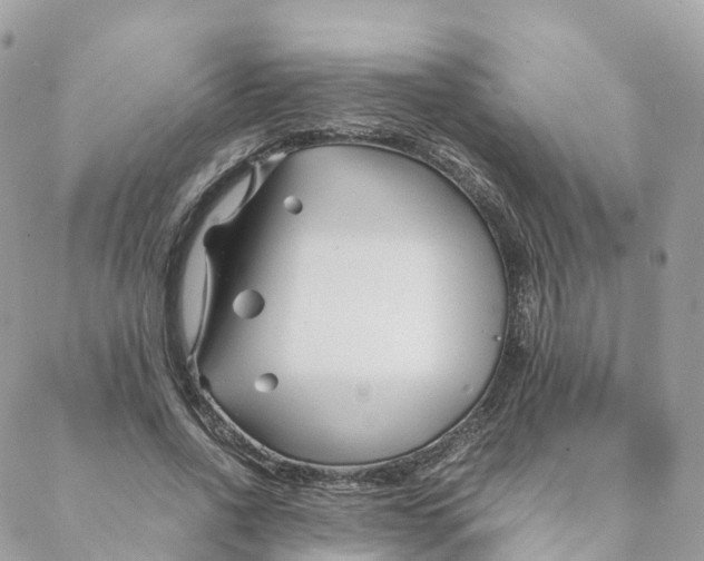 X0000088090734200706011603