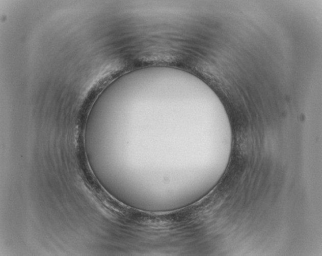 X0000088090735200706011603