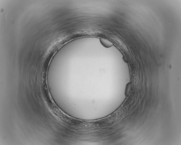 X0000088090736200706011603