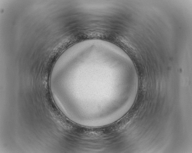 X0000088090737200706011603