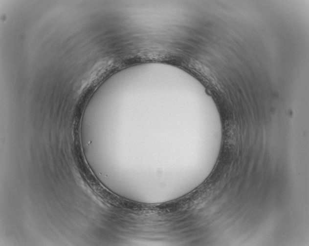 X0000088090738200706011603