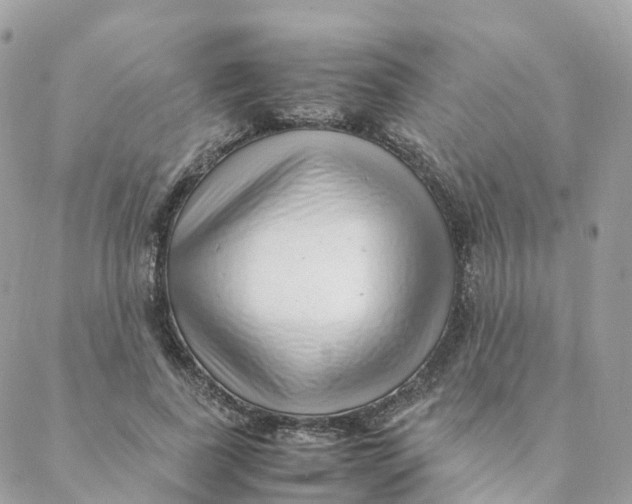 X0000088090739200706011603