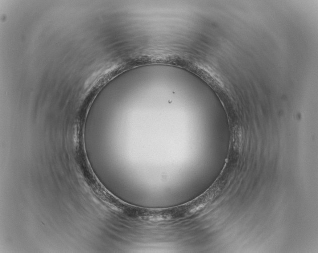 X0000088090740200706011603