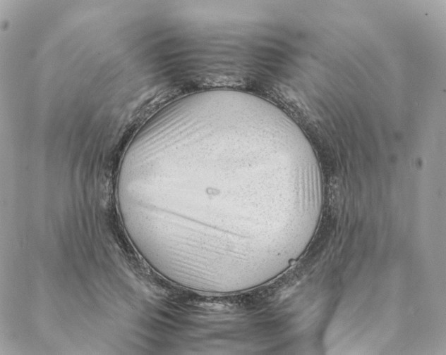 X0000088090741200706011603