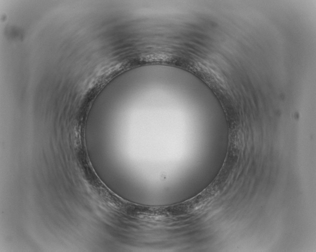 X0000088090743200706011603