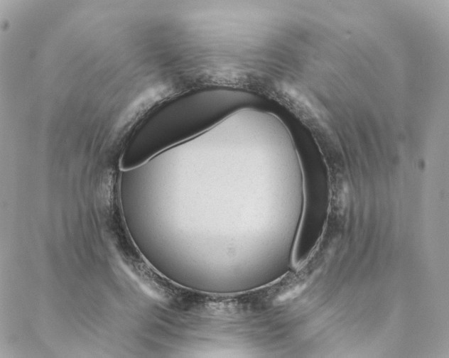 X0000088090744200706011603