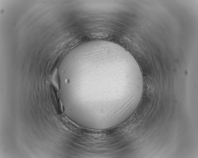 X0000088090745200706011603