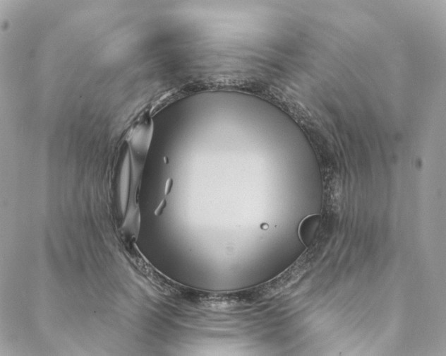 X0000088090746200706011603