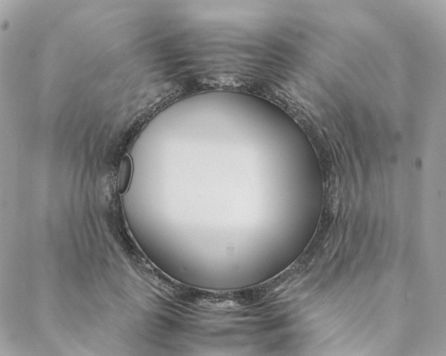 X0000088090747200706011603