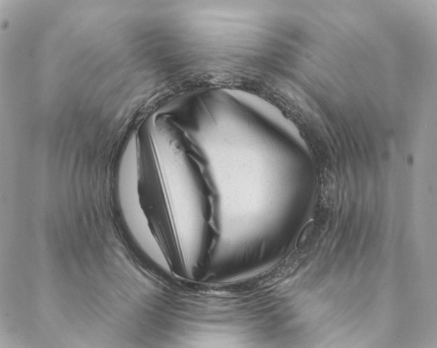 X0000088090748200706011603