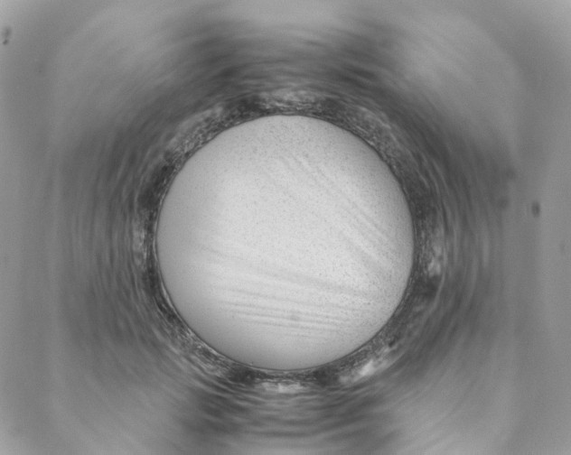 X0000088090749200706011603