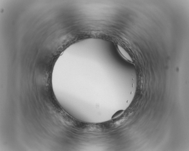 X0000088090750200706011603