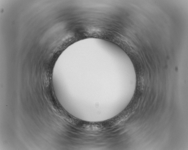 X0000088090751200706011603