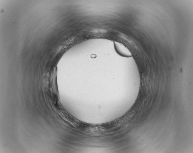 X0000088090752200706011603