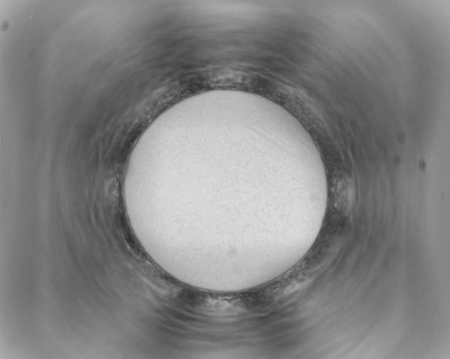 X0000088090753200706011603