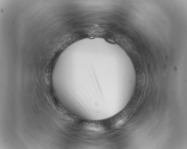 X0000088090755200706011603