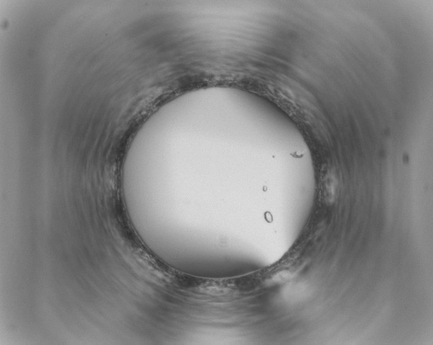 X0000088090756200706011603