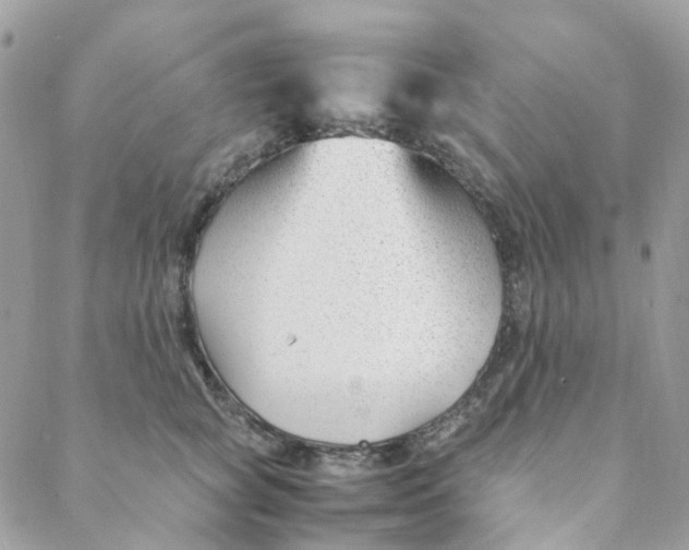 X0000088090757200706011603