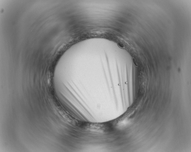 X0000088090758200706011603