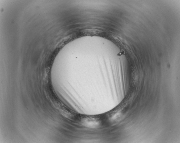 X0000088090759200706011603