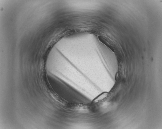 X0000088090760200706011603