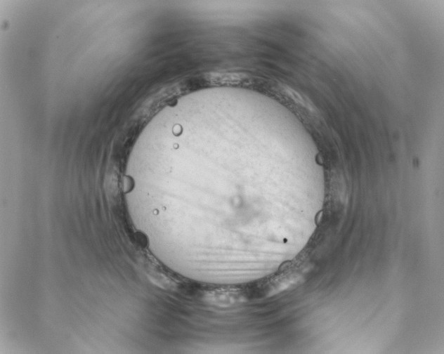 X0000088090761200706011603