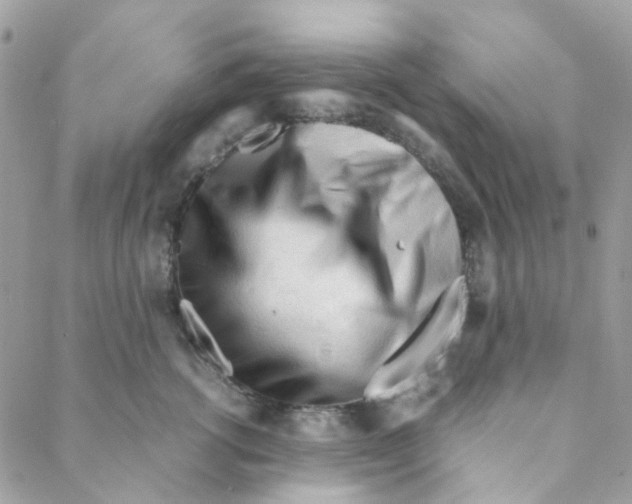 X0000088090762200706011603