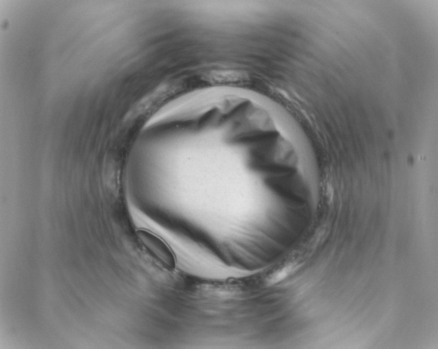 X0000088090763200706011603