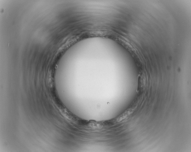 X0000088090764200706011603